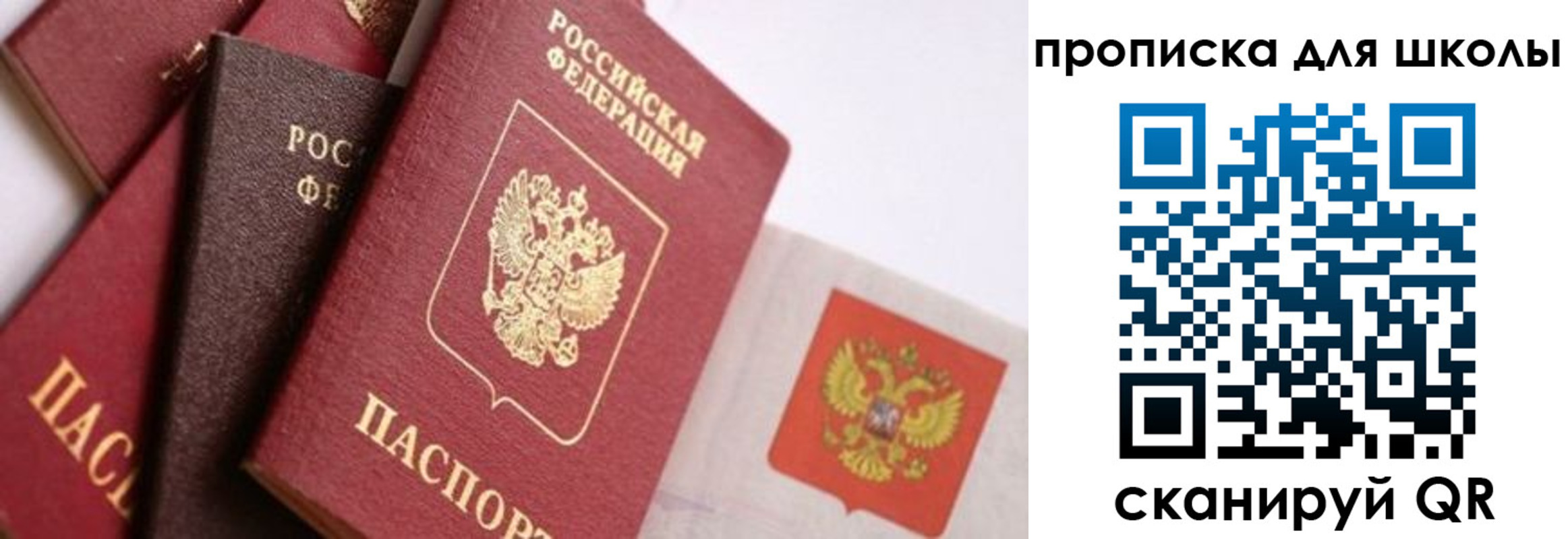 прописка поиск в Называевске
